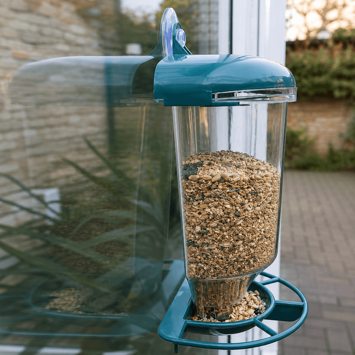 Clear Window Bird Feeder with Suction Cup
