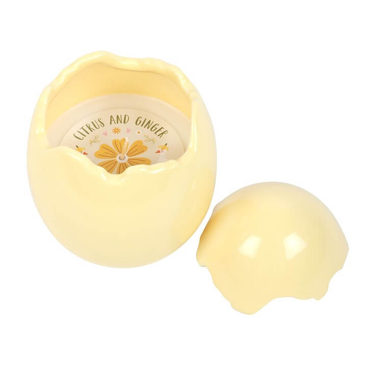 🕯️ Citrus and Ginger Egg Shaped Candle