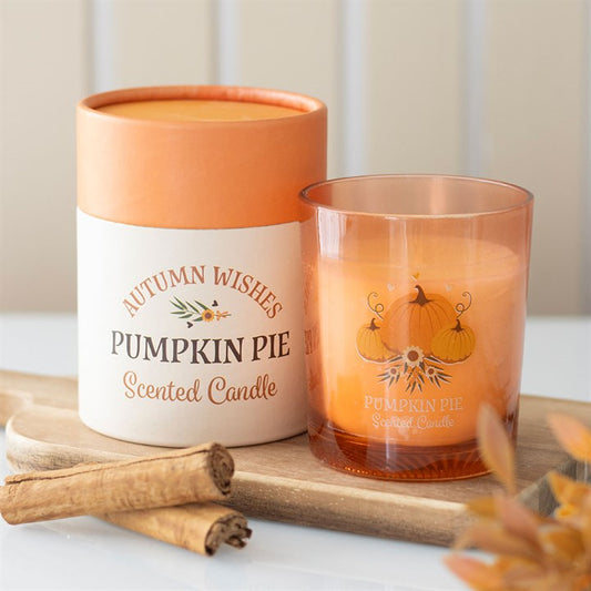Autumn Wishes Pumpkin Pie Candle, beautifully packaged, brings the comforting scent of pumpkin pie to your home.