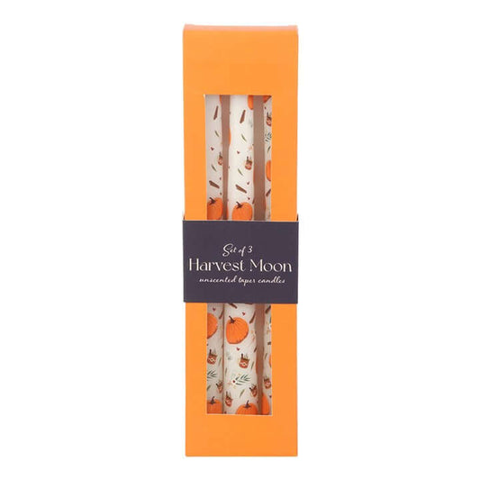 Set of 3 Pumpkin Taper Candles - Unscented, perfect for autumn gatherings and creating a warm, inviting atmosphere.
