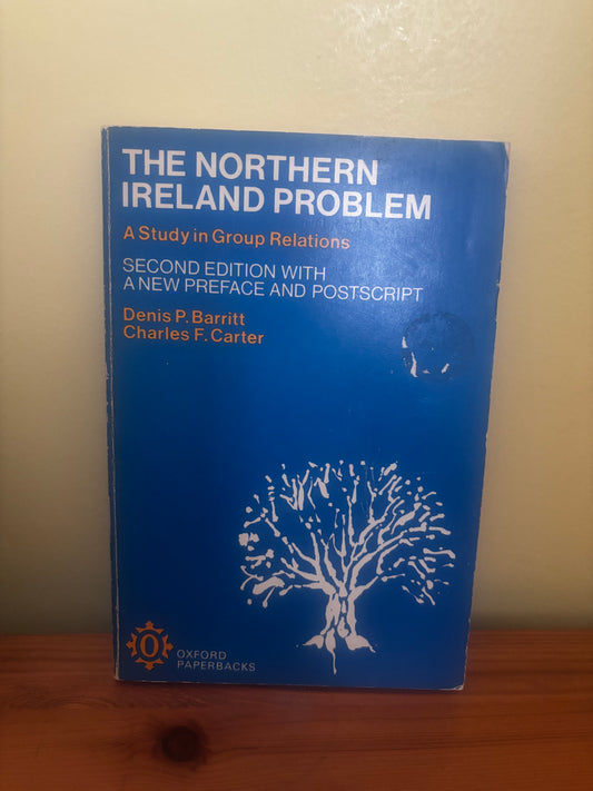 Blue book titled 'The Northern Ireland Problem' on a wooden surface.