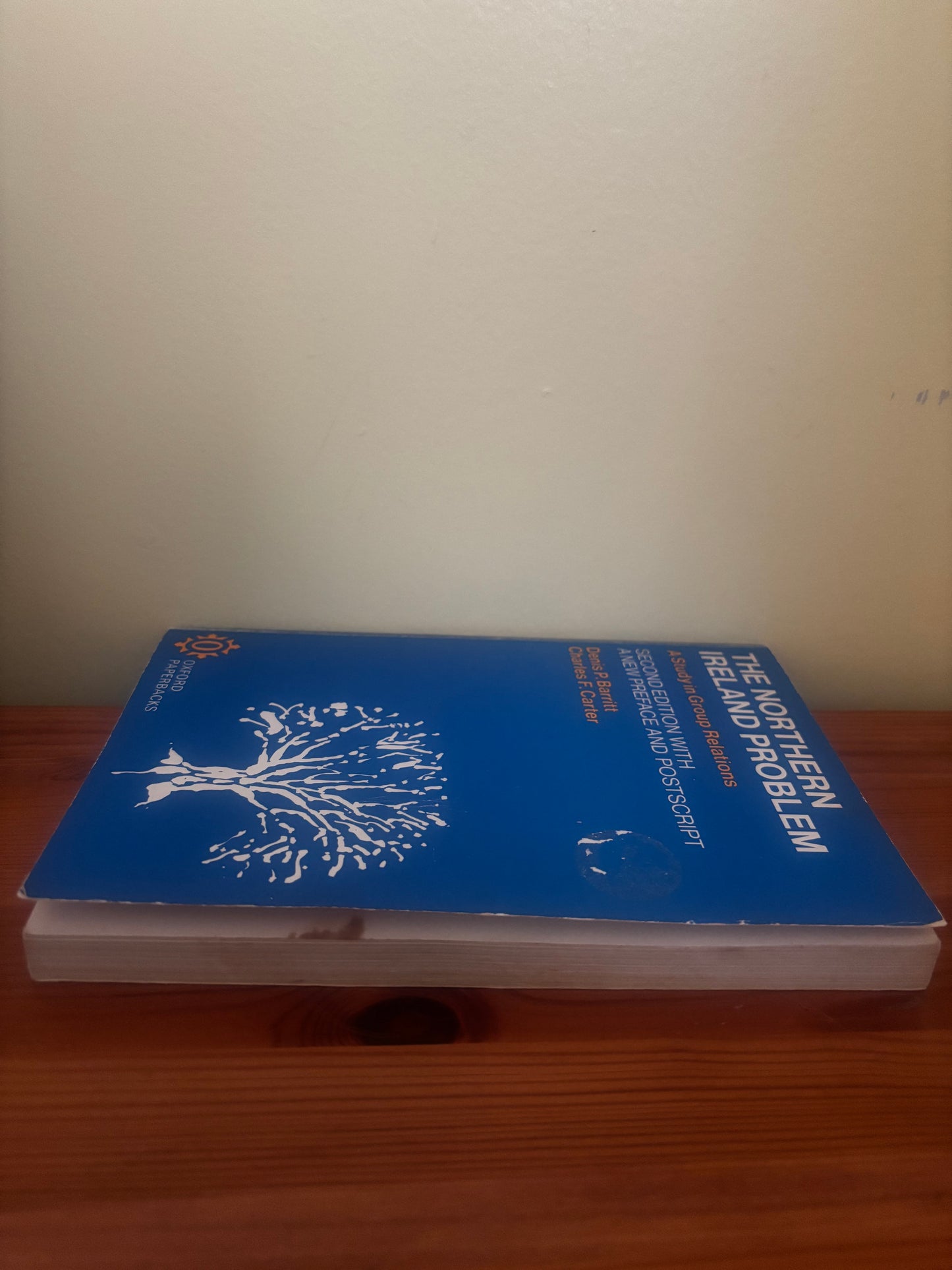 Blue book titled 'The Northern Ireland Problem' on a wooden surface.