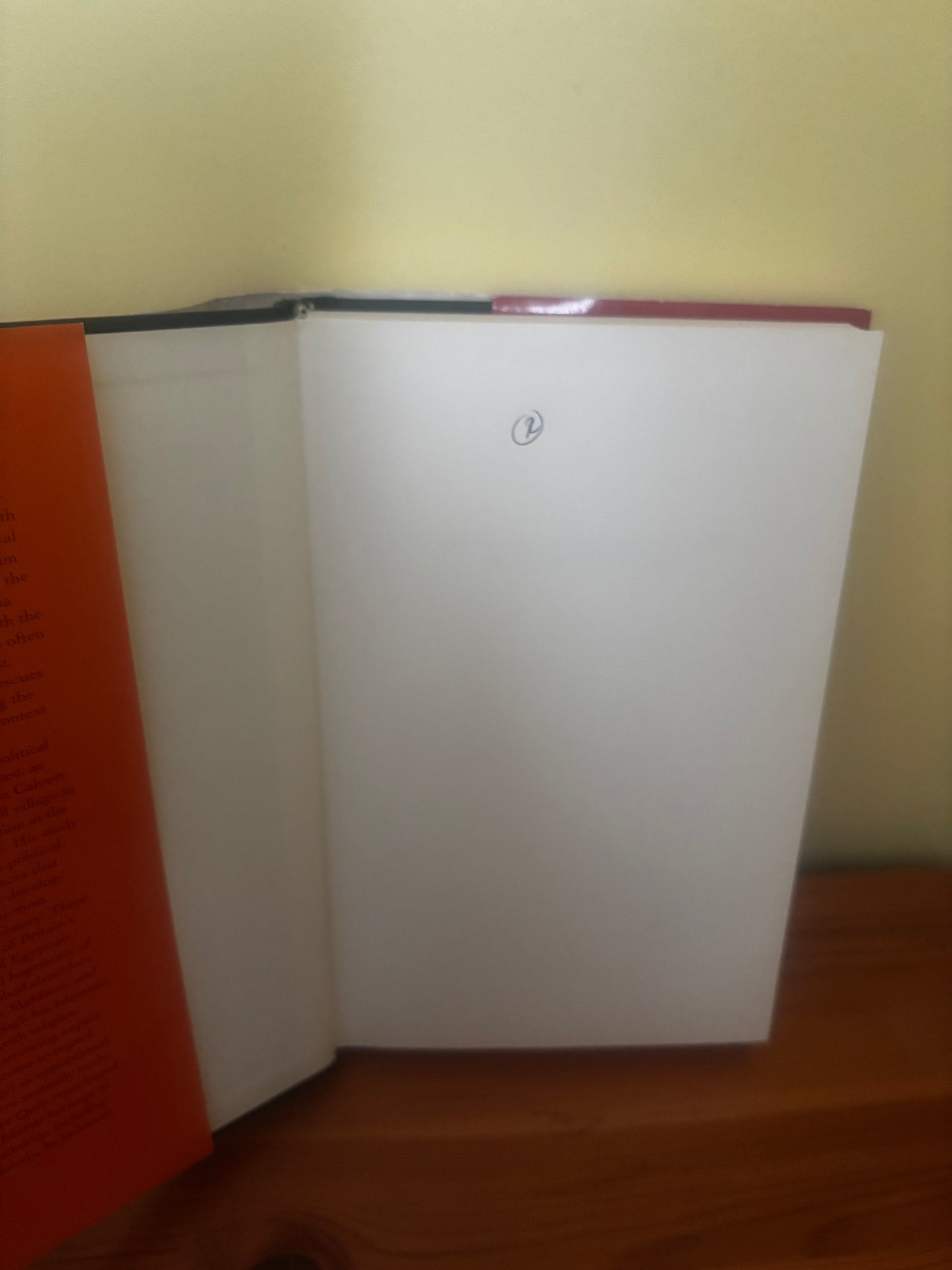 Sayyid Qutb and the Origins of Radical Islamism Hardback
