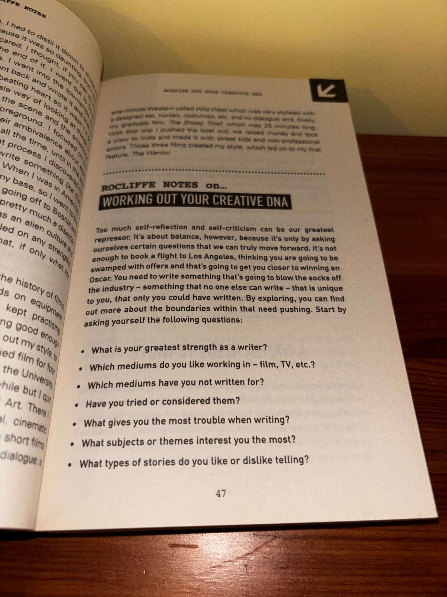 Rocliffe Notes A Professional Approach for Screenwriters & Writer-Directors