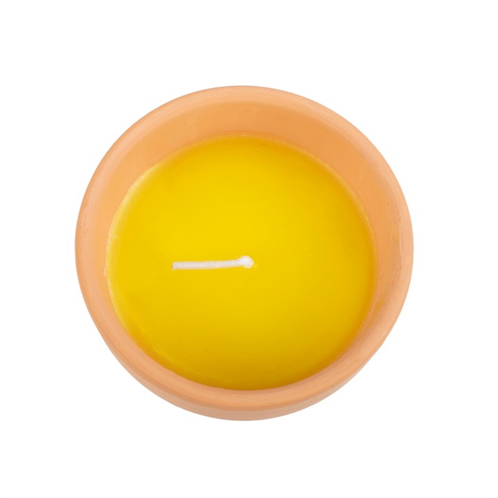 Stylish Gardener of the Year Citronella Candle in a ceramic pot, perfect for outdoor elegance and insect repellent.