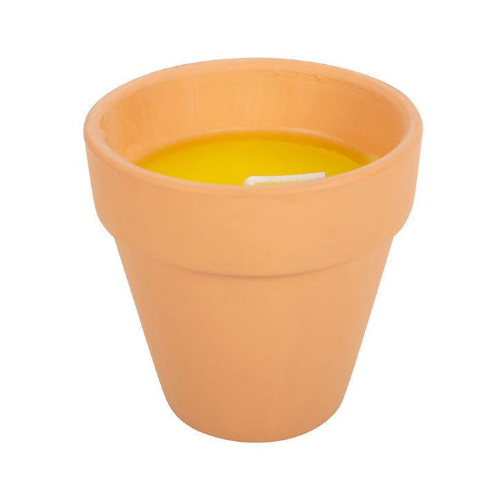 Stylish Gardener of the Year Citronella Candle in ceramic pot, perfect for outdoor elegance and insect repellent.