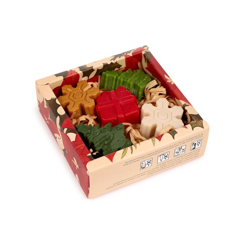 Handmade wax melt set of five in winter spice botanicals, green red brown beige, in a festive holly-patterned box.
