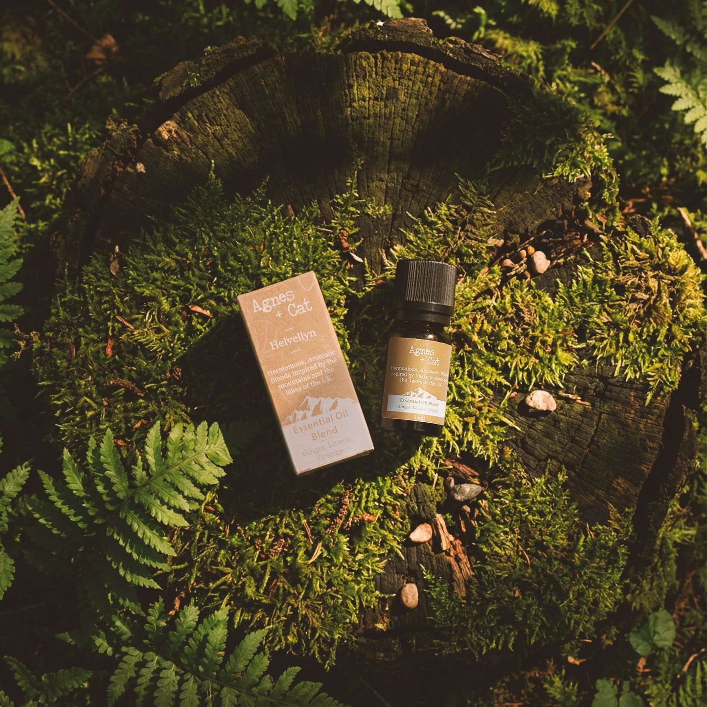 Agnes and Cat Essential Oil Blend Orrest Head