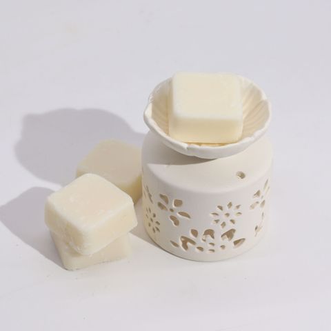 Agnes & Cat Fragrance Gift Set features an elegant oil burner with wax melts, perfect for a soothing ambiance.