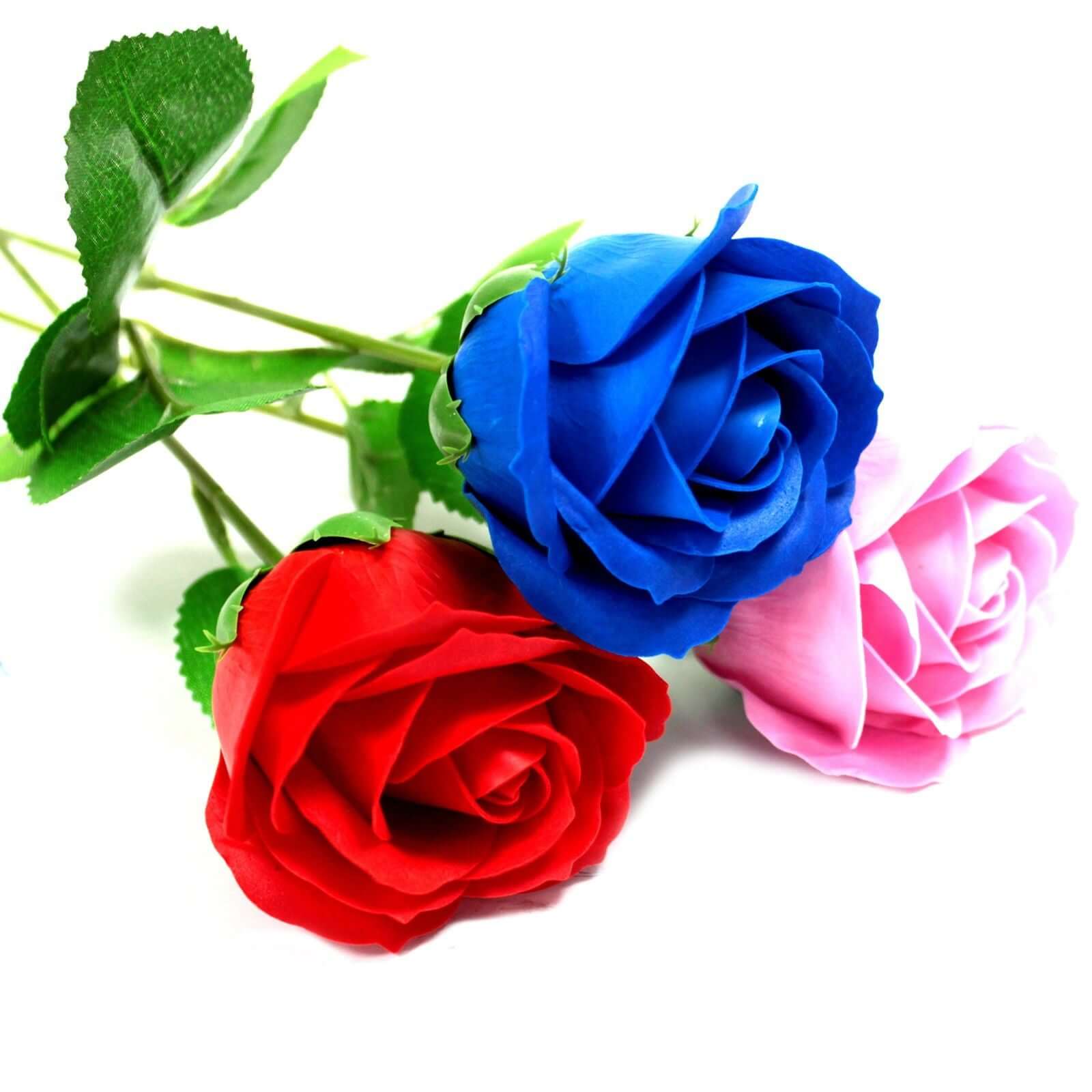 Single Rose - Blue  Rose arrangement with red and pink roses on a white background.
