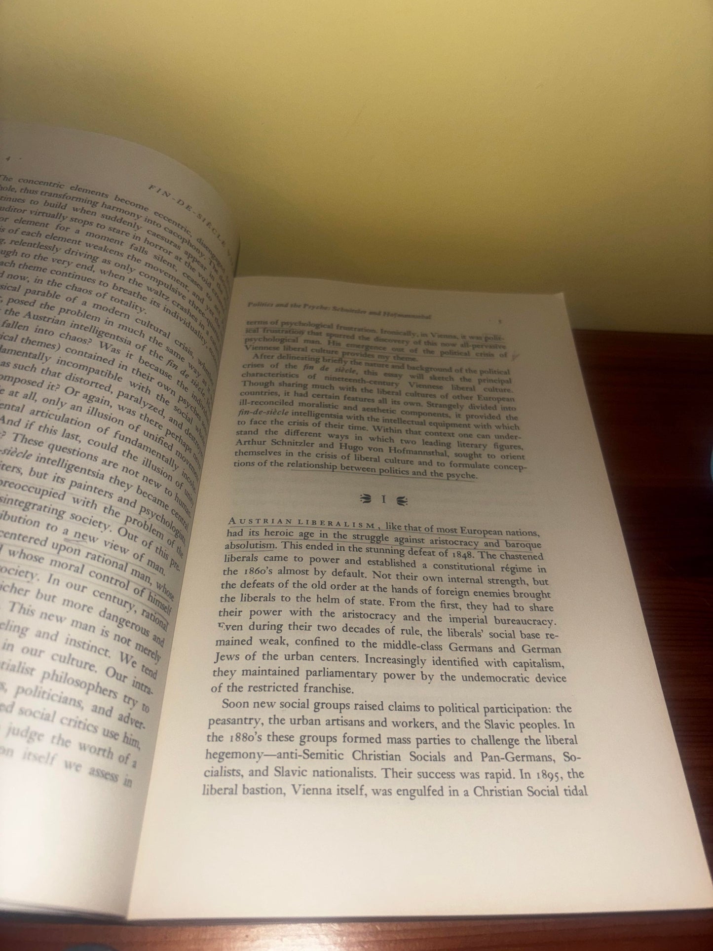 Fin-De-Siecle Vienna Politics and Culture