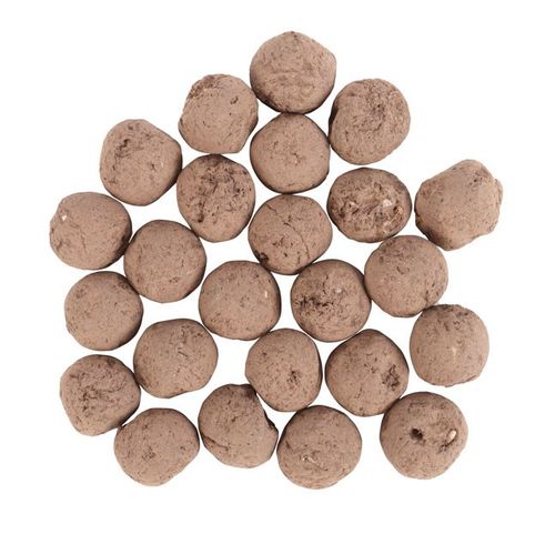 24 Garden Seed Balls in a Bag, perfect for brightening outdoor spaces and attracting wildlife to your garden.